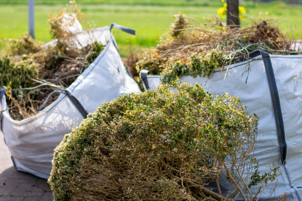 Best Electronics Removal Services  in Southside, AL